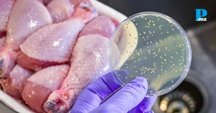 Puebla acumula 83 casos de intoxicaci&oacute;n alimentaria bacteriana durante 2026