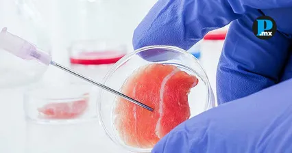 El foro m&eacute;dico en Puebla re&uacute;ne a especialistas y acad&eacute;micos para impulsar la medicina regenerativa y la formaci&oacute;n cient&iacute;fica de vanguardia.