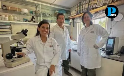 El perfil de edad y g&eacute;nero es indistinto en todas las vacantes