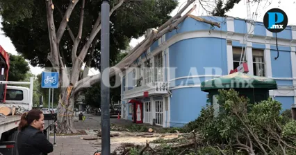 Cae rama sobre Catastro de Puebla; tr&aacute;mites se reanudar&aacute;n hasta el lunes