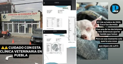 Denuncian al Hospital Veterinario Minerva por presunta negligencia en Puebla 