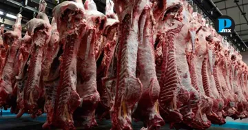 Industrial de Abastos Puebla report&oacute; rastros clandestinos detectados mediante inspecciones de carne de procedencia irregular.