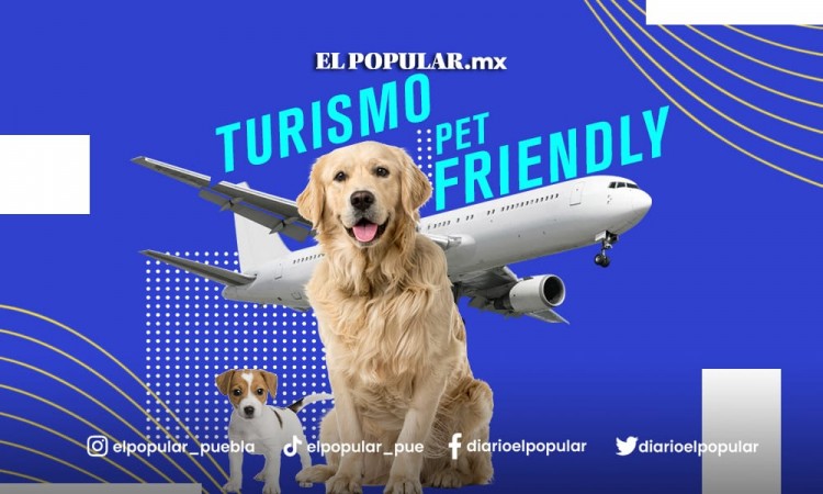 Puebla está rezagada en Turismo Pet Friendly