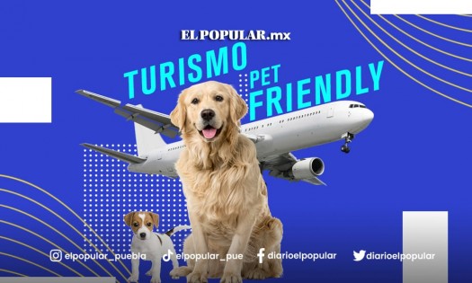 Puebla está rezagada en Turismo Pet Friendly