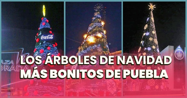 Descubre cuáles son los 5 Árboles de Navidad más bonitos de Puebla.