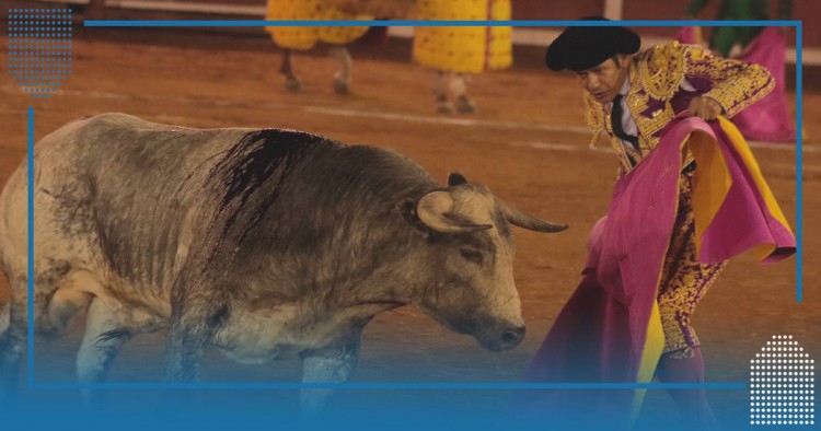 Colectivo animalista interpone amparo para prohibir corridas de toros en todo Puebla