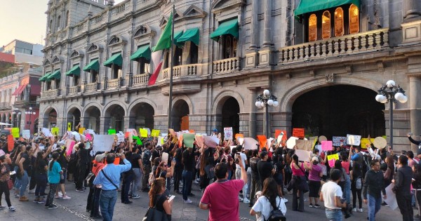 Animalistas exigen mejores sanciones para los violentadores de perritos