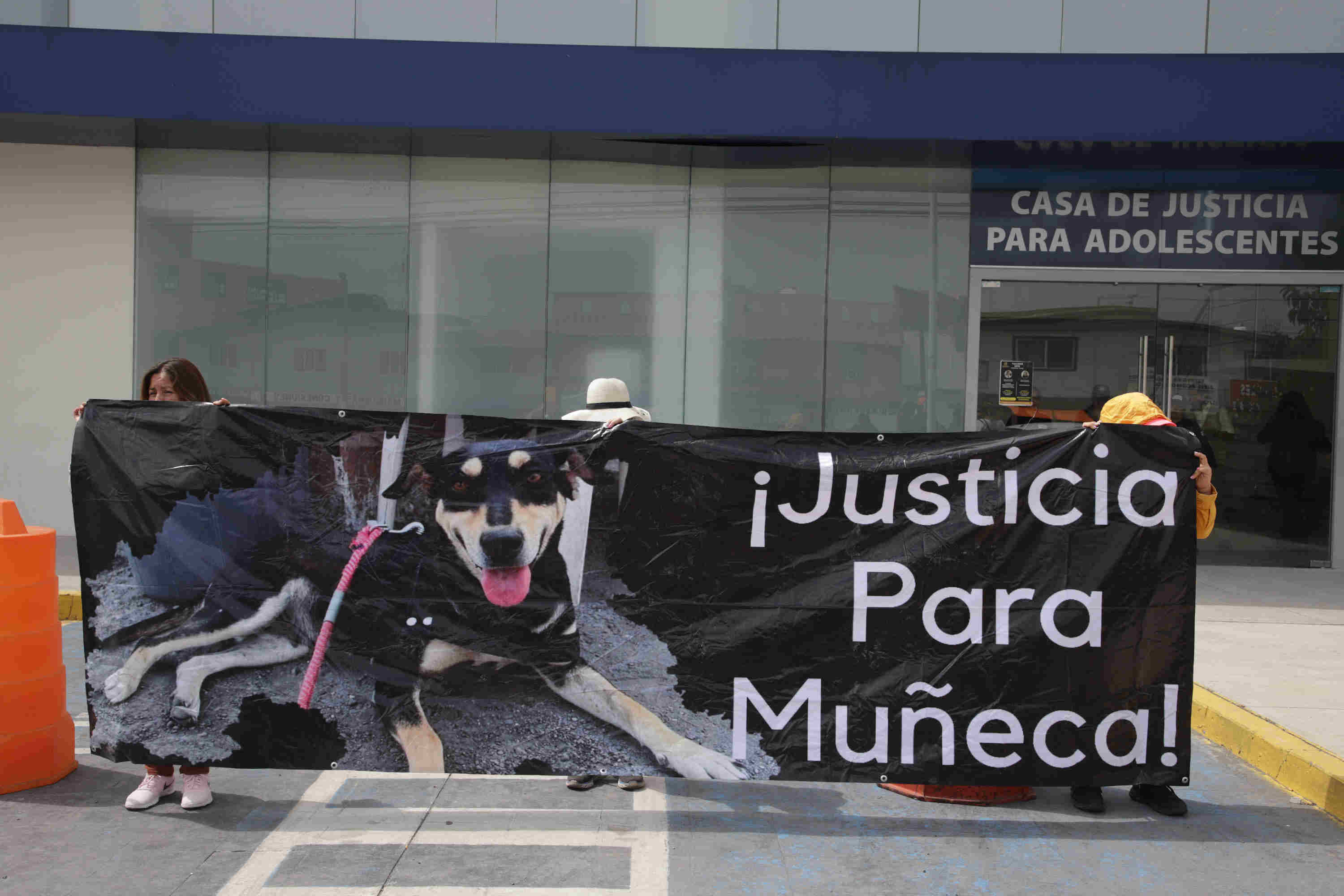 Integrantes de colectivos animalistas y ciudadanos en pro del cuidado animal, se manifestaron afuera de la Casa de Justicia para Adolescentes