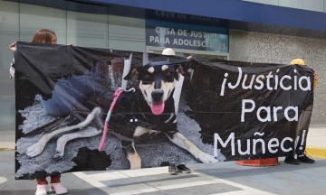 Realizan primera audiencia contra menor de edad por actos de zoofilia