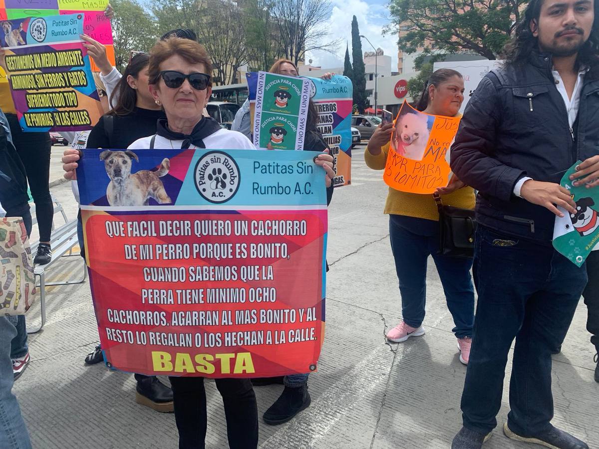 manifestación contra el maltrato animal, Fiscalía de Puebla