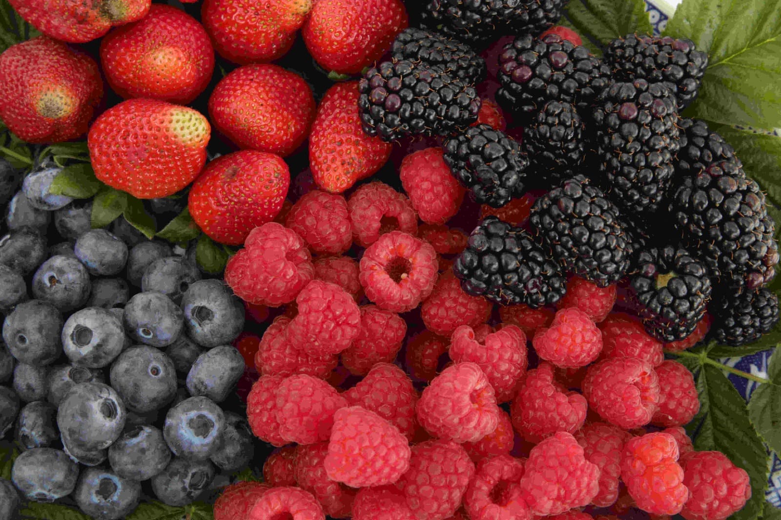 ¡Corre a la feria de las berries en Huejotzingo! Conoce fecha y costo