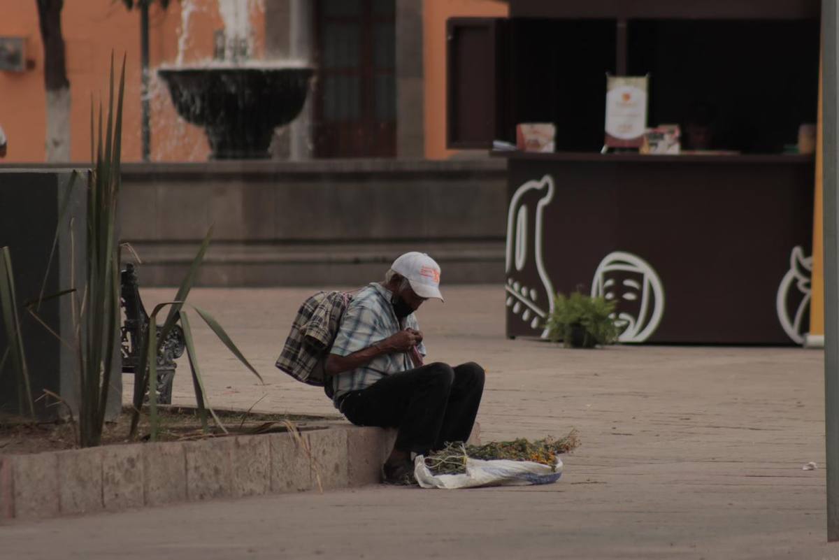 las carencias por acceso a la seguridad social, a los servicios de salud, servicios básicos en la vivienda, alimentación nutritiva y de calidad se presentaron en dos de cada 10 personas de este grupo poblacional en México.