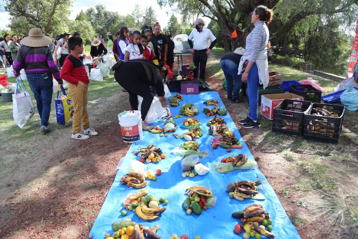Un millón 800 mil personas del estado de Puebla sufren algún tipo de desnutrición por carencia de alimentos, de acuerdo con estadísticas de la Fundación Cáritas Puebla