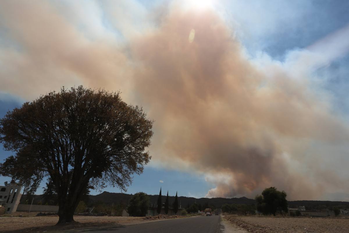 Cada día hay 1.15 incendios en Puebla, van 336 en 2023