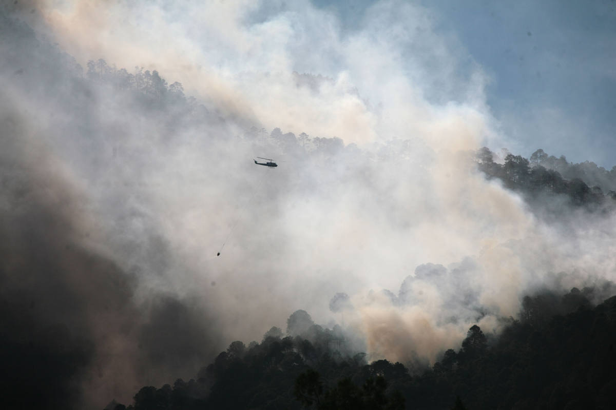 A nivel nacional, los estados con mayor presencia de incendios forestales en este año son México, Ciudad de México y Michoacán