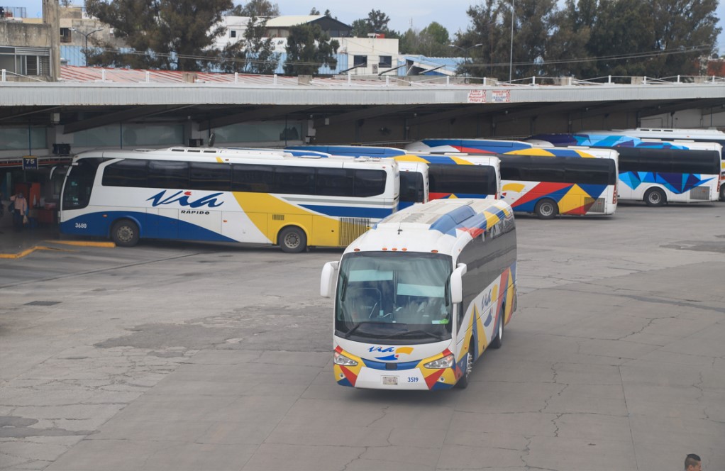 Los descuentos son aplicables en servicios de autotransporte federal de pasajeros en primera y clase económica, así como en el servicio ferroviario regular interurbano.