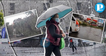 Daños por la intensa lluvia en Puebla; árbol caído, inundaciones y accidentes