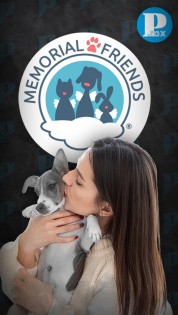 ¿Tu mascota falleció? Aquí te dejamos tres crematorios para despedirla dignamente