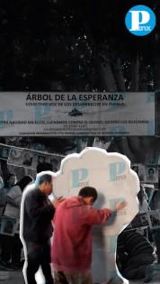 Voz de los Desaparecidos coloca árbol de la esperanza en Centro Histórico de Puebla