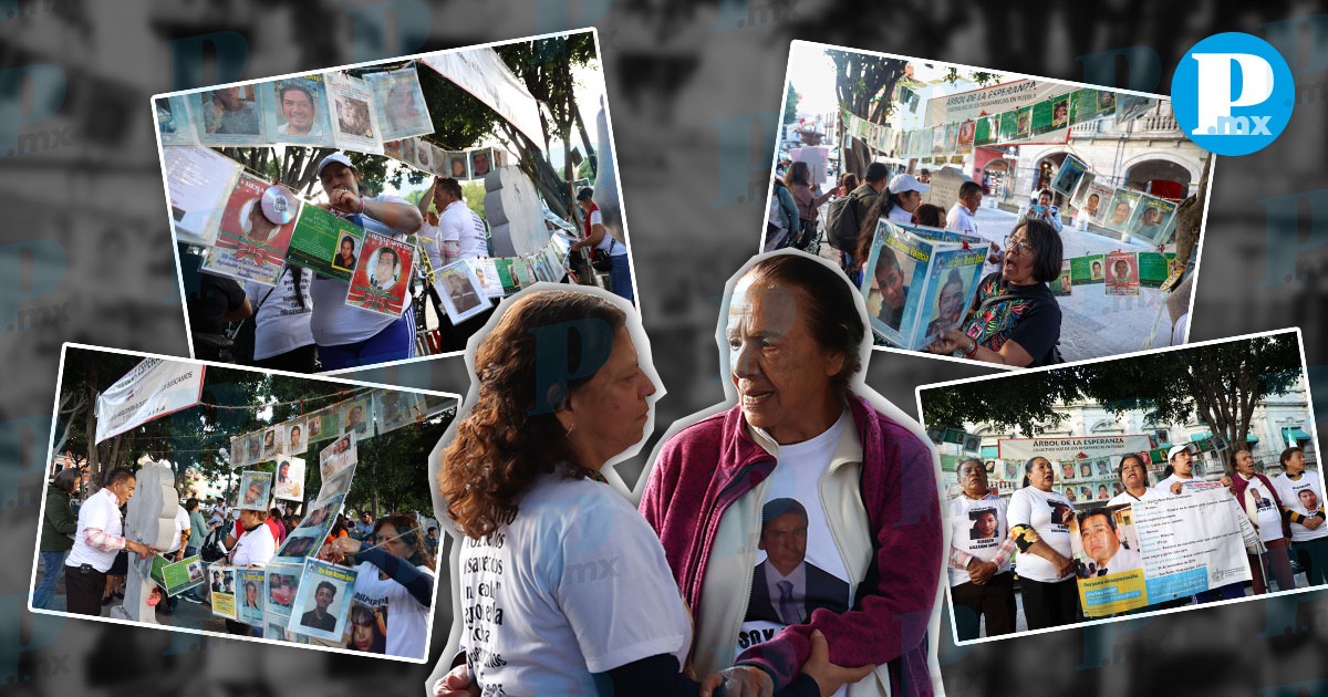 Voz de los Desaparecidos retira fotos del “Árbol de la Esperanza” en Puebla