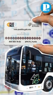 Línea 4 del RUTA: Todo lo que debes saber sobre su funcionamiento y tarifas