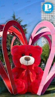 Así será el Festival del Amor en el Parque del Arte