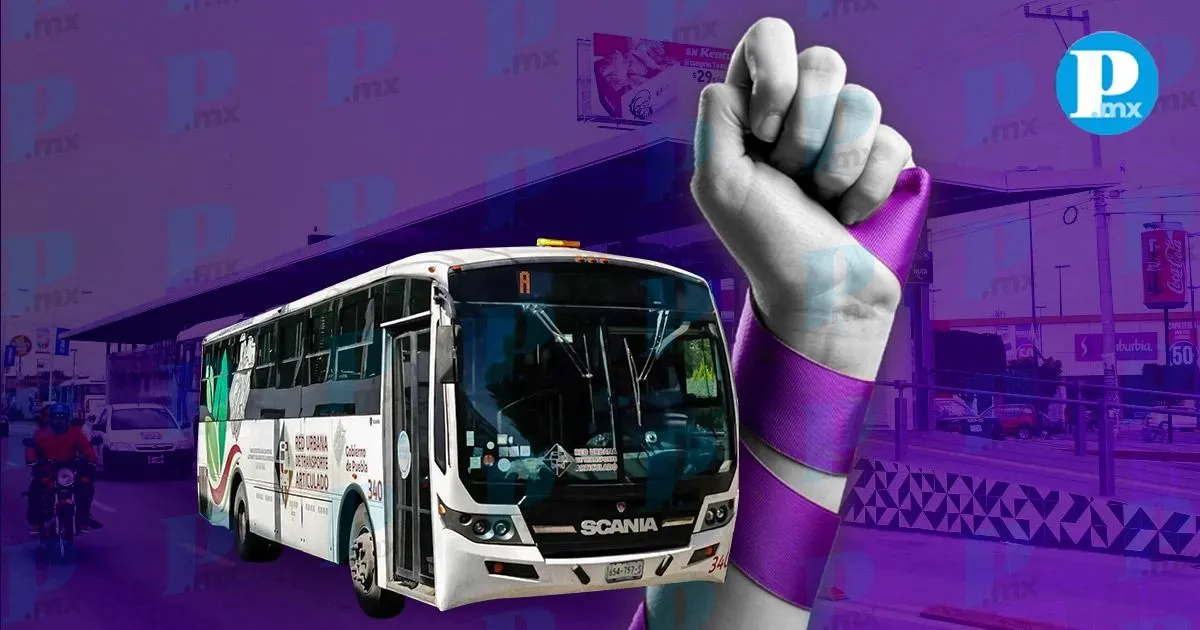 RUTA renueva 47 unidades de Línea 2; plantea incluir espacios para personas trans