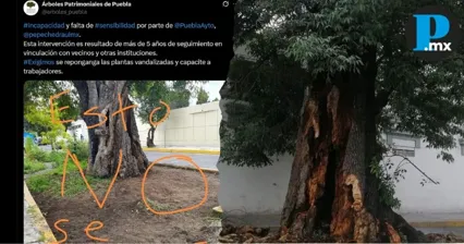 Denuncian daños a Fresno de Estomatología colectivo Árboles Patrimoniales señala al Ayuntamiento de Puebla 