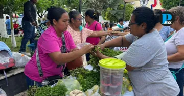Cooperativas poblanas fortalecen la comercializaci&oacute;n de productos del campo y ampl&iacute;an su presencia en mercados nacionales e internacionales.