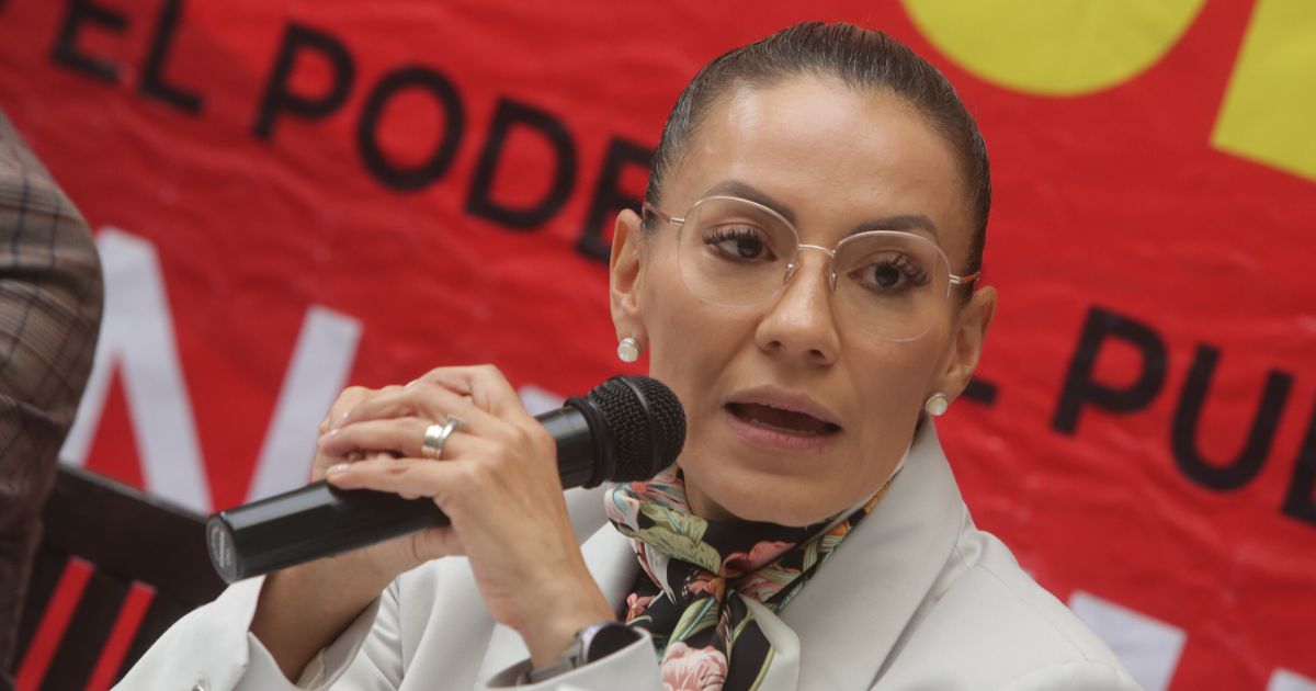 Mónica Silva asegura que diputados evitan hablar del aborto legal