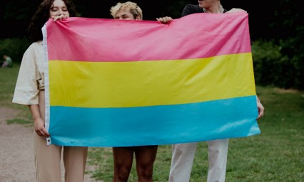 Pansexualidad, la atracción por la energía y no por el género