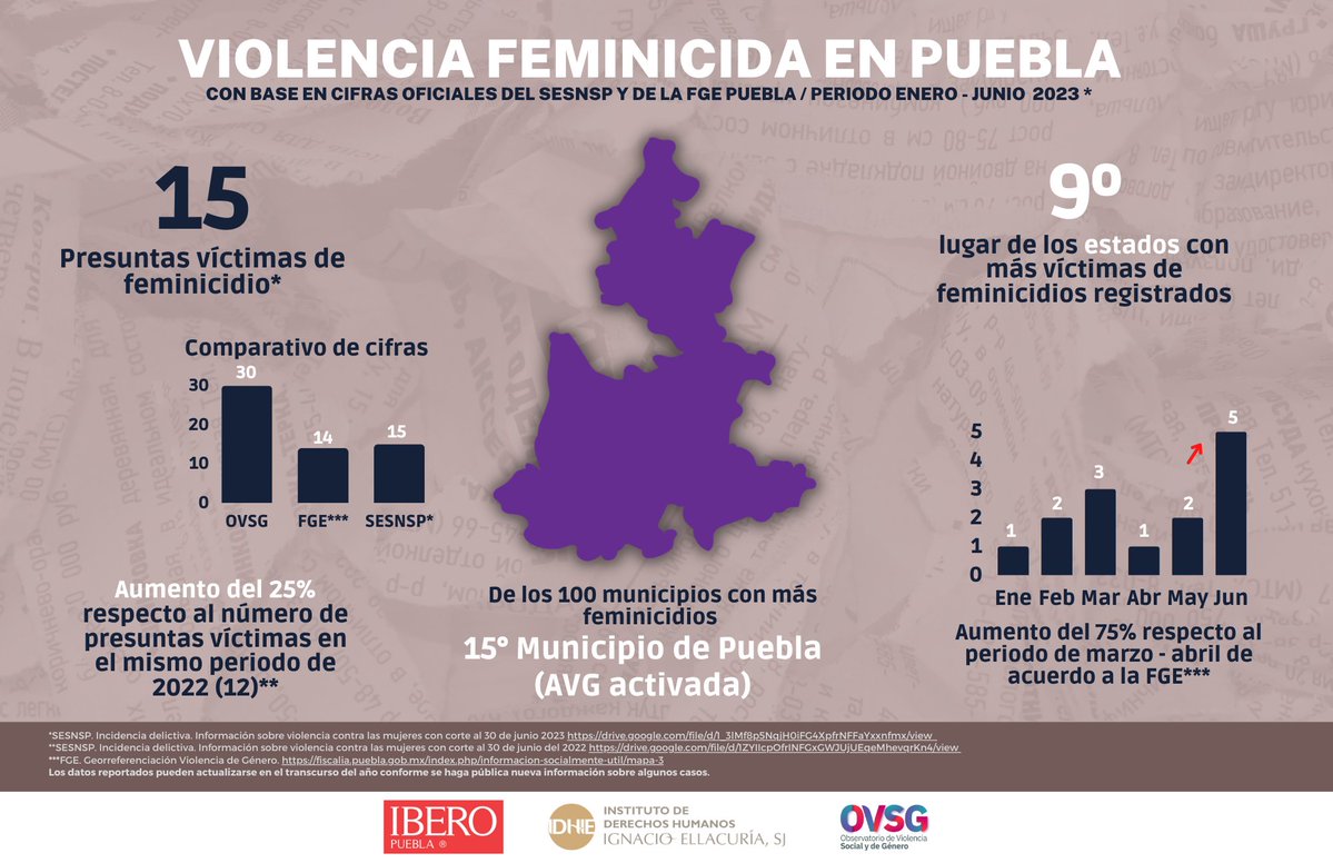 Idhie Ibero, Violencia feminicida en Puebla