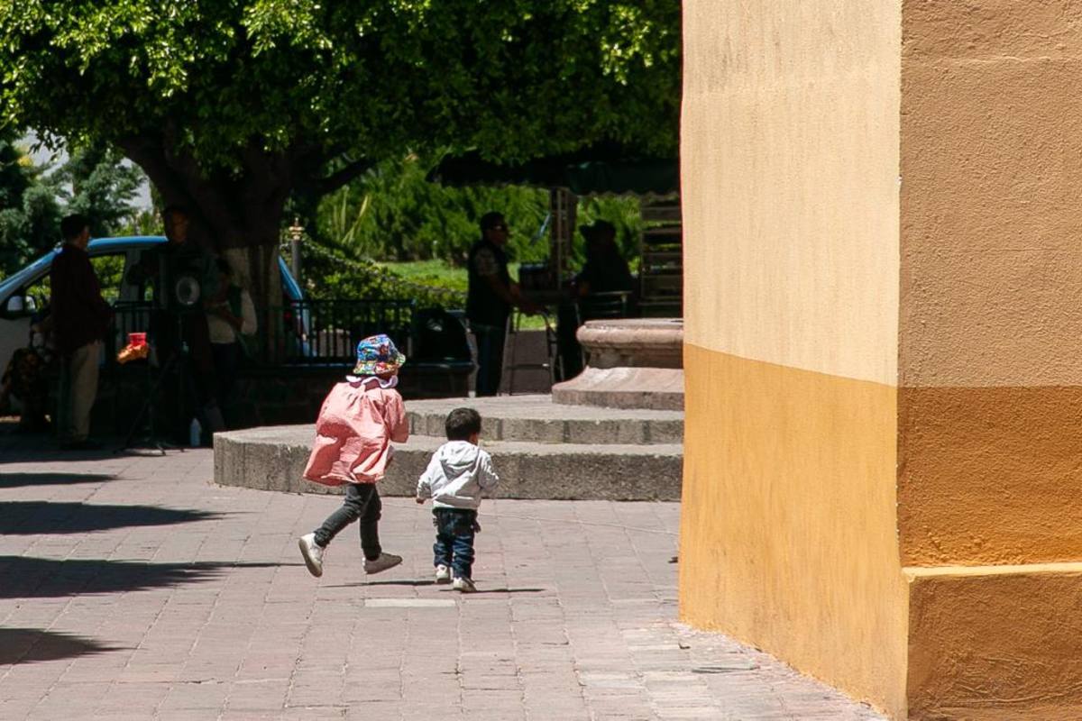 A nivel nacional, los estados con mayor índice de embarazos en niñas de 10 a 14 años de edad son Chiapas con 808 casos y el estado de México con 576