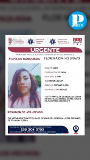 ¿Dónde está Flor Maximino Bravo? La joven de 15 años desapareció en Tehuacán