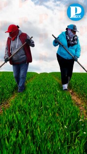 Estos son los apoyos que da el gobierno a las mujeres rurales en Puebla 