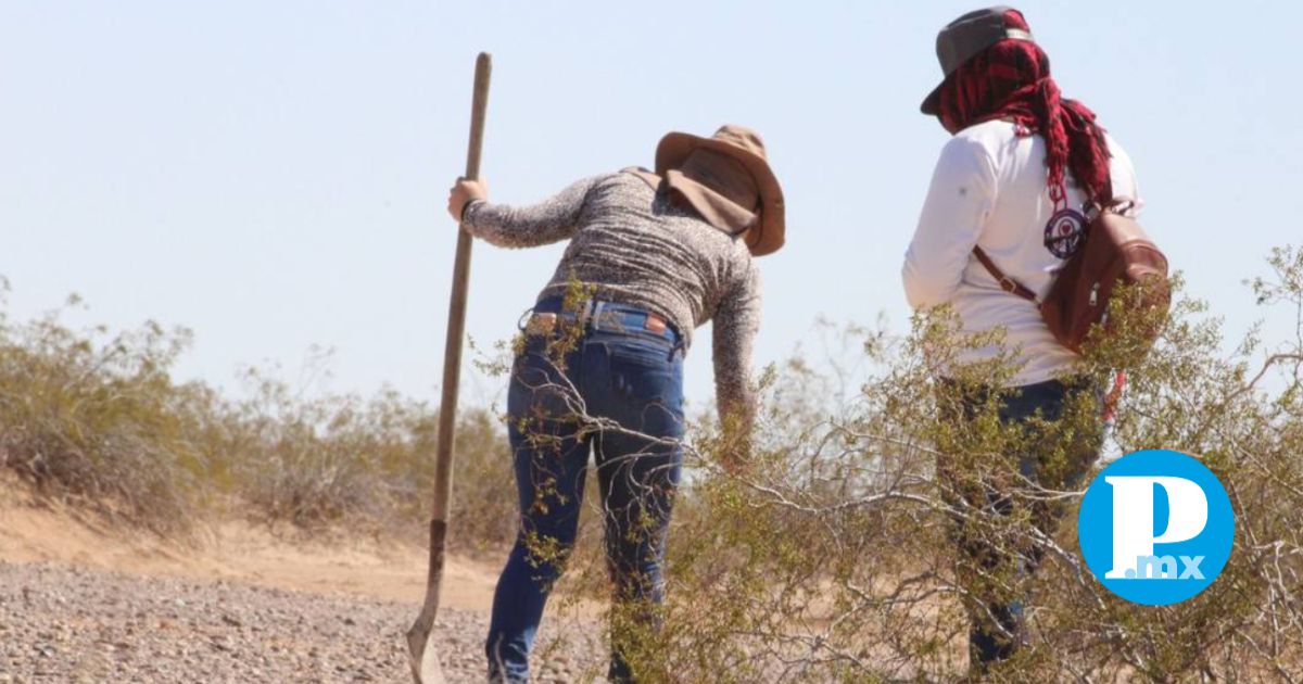 90% de los buscadores son mujeres