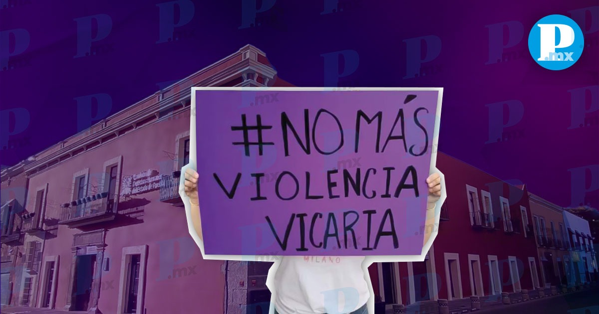 Comisión de Derechos Humanos organiza el panel “Violencia Vicaria”