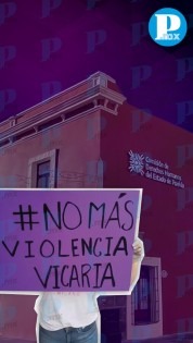 Comisión de Derechos Humanos organiza el panel “Violencia Vicaria”