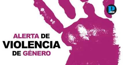 Tribunal Colegiado da la raz&oacute;n al OCNF y ordena reanudar la actualizaci&oacute;n del Reglamento de la Alerta de Violencia de G&eacute;nero.