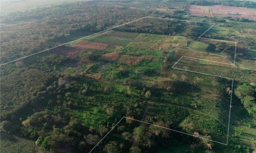 Descubrimiento de 478 centros ceremoniales mayas replantean la historia de esa civilización