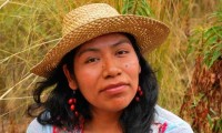 Desaparece por segunda vez la ambientalista Irma Galindo