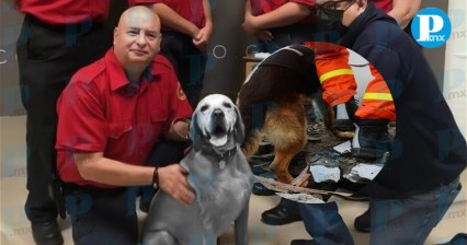 Muere Titán, perrito rescatista que salvó vidas en el sismo del 19S