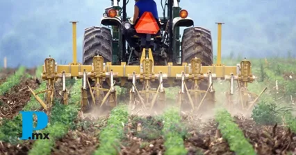 El agricultor reconoce que en los últimos años la producción agrícola ha disminuido de manera preocupante debido al cambio climático