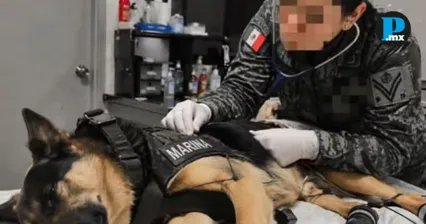 Max salv&oacute; siete vidas, pero termin&oacute; herido en misi&oacute;n en Venezuela