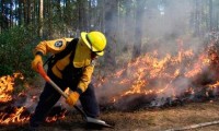¡BIEN! En Puebla se redujeron el número de hectáreas afectadas por incendios forestales