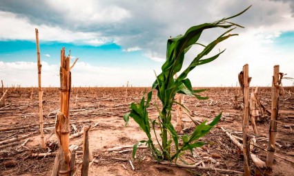 Sequía extrema en México, se decreta emergencia por falta de agua  