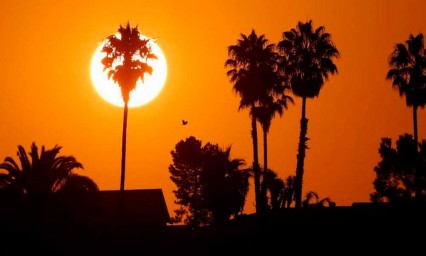 ¡Alarmante! Julio de 2021, fue el mes más caluroso jamás registrado en la Tierra