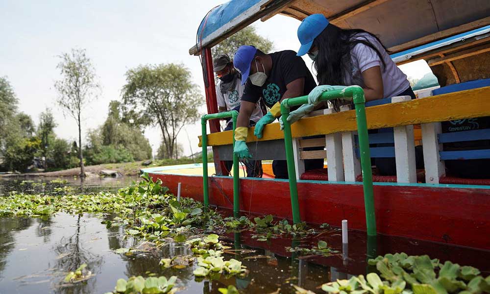 Nanotecnología a favor del medio ambiente, así limpiaron los canales de Xochimilco