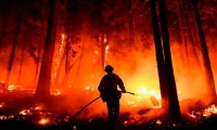 Continúan los incendios forestales en California, ponen en peligro las secuoyas más grandes del mundo