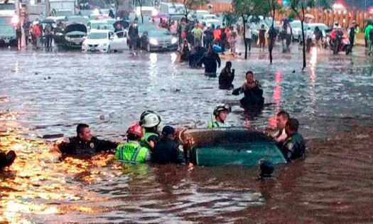 ¡RED FLAG! Alerta Greenpeace México sobre los próximos efectos del calentamiento global en el país 